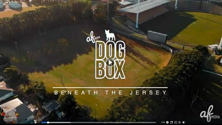 dog-box
