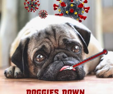 doggies-down